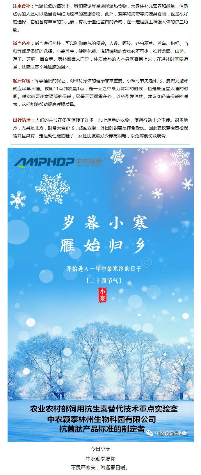 2022年（第2期）：小寒今日至，年味已冒頭_04