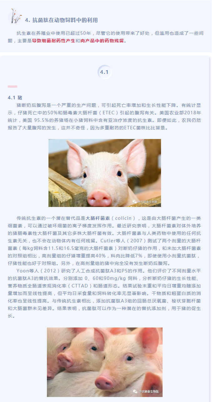 抗菌肽作為替抗飼料添加劑對(duì)動(dòng)物生產(chǎn)、食品安全和公共衛(wèi)生影響的綜述（下）_01