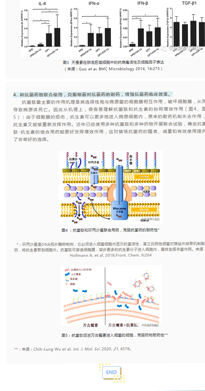 淺談抗菌肽添加劑在養(yǎng)豬現(xiàn)場(chǎng)的應(yīng)用_03
