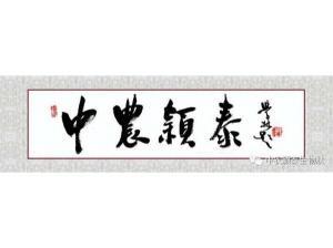 2021年：工作動(dòng)態(tài)，中農(nóng)穎泰工會(huì)順利換屆