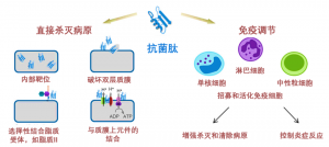 泰倍健——新型免疫增強劑，構(gòu)建核心抗病力